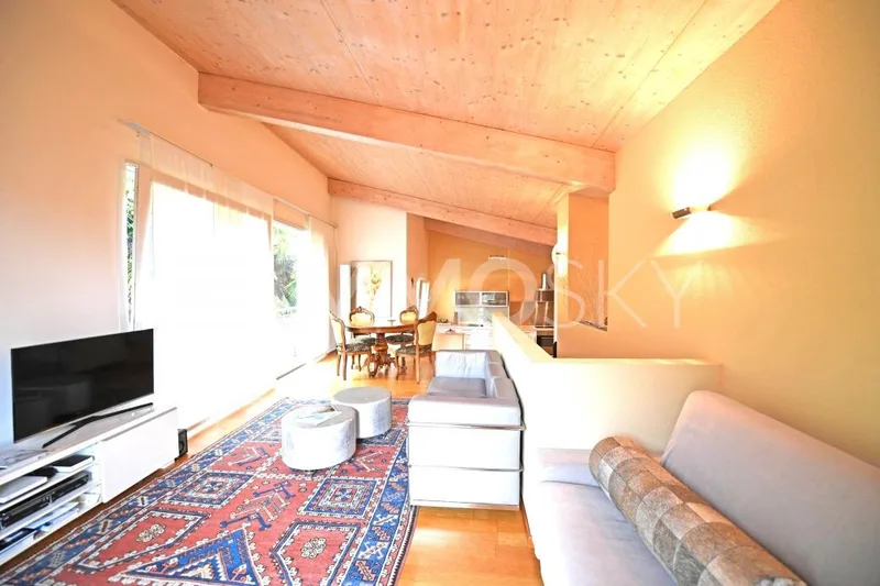 House / Villa 6.5 rooms in Gambarogno