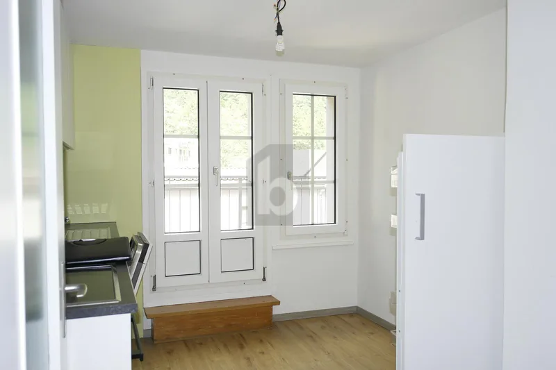 Wohnung 4.5 Zimmer in Erstfeld