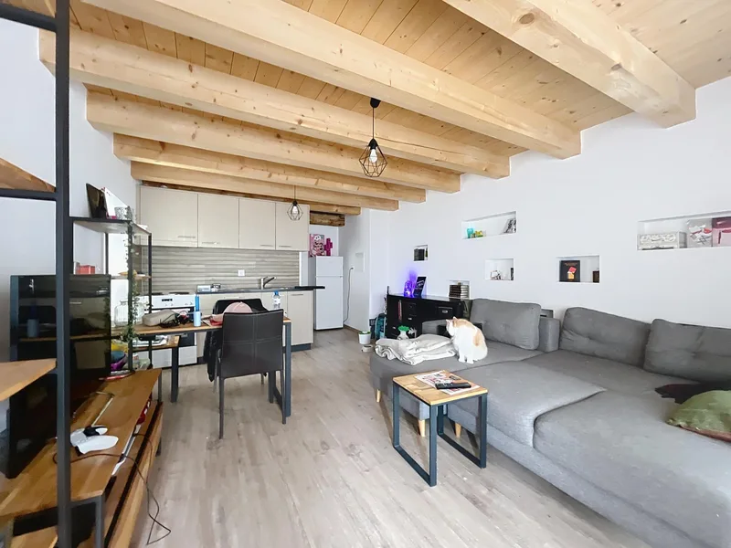 Appartement 1.5 pièces à Romont