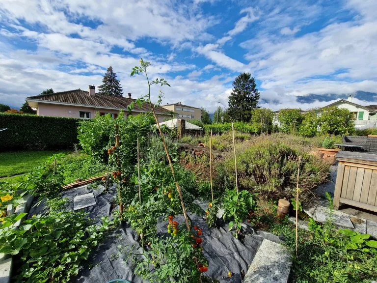 Maison / Villa 8 pièces à Aigle — 18