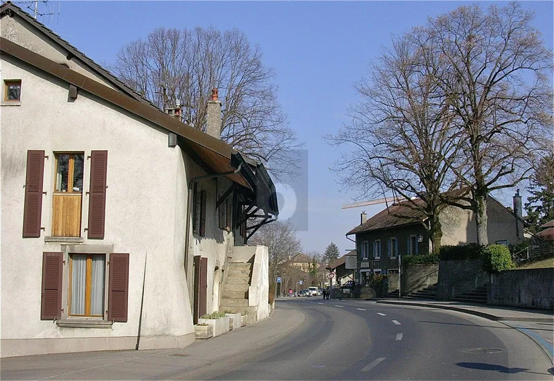 Gewerbe 2 Zimmer in Bernex — photo 5