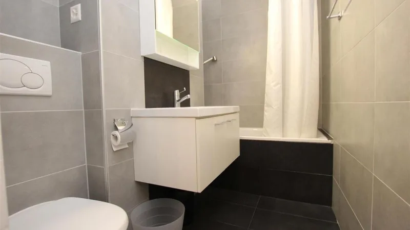 Apartment 1.5 rooms in Miremont / Champel — 3