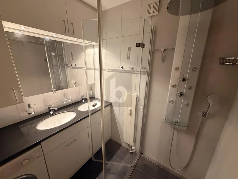 Apartment 3.5 rooms in Birsfelden — 4