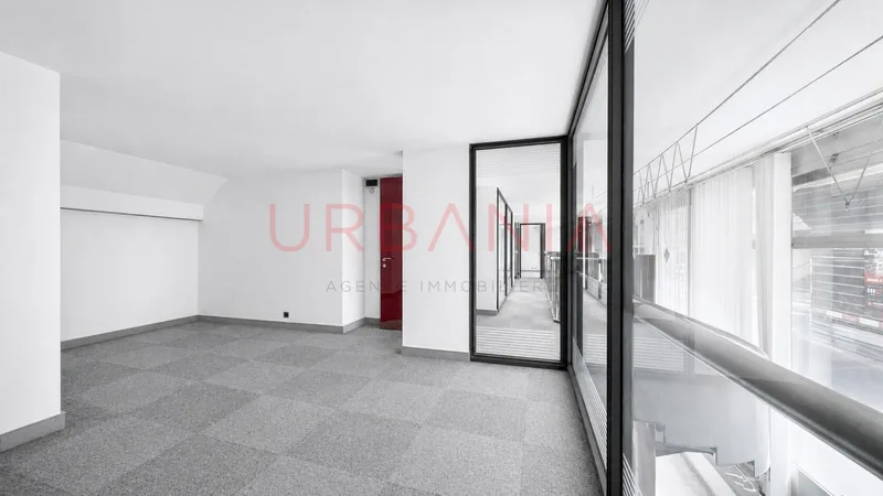Commercial in Eaux-Vives — 8
