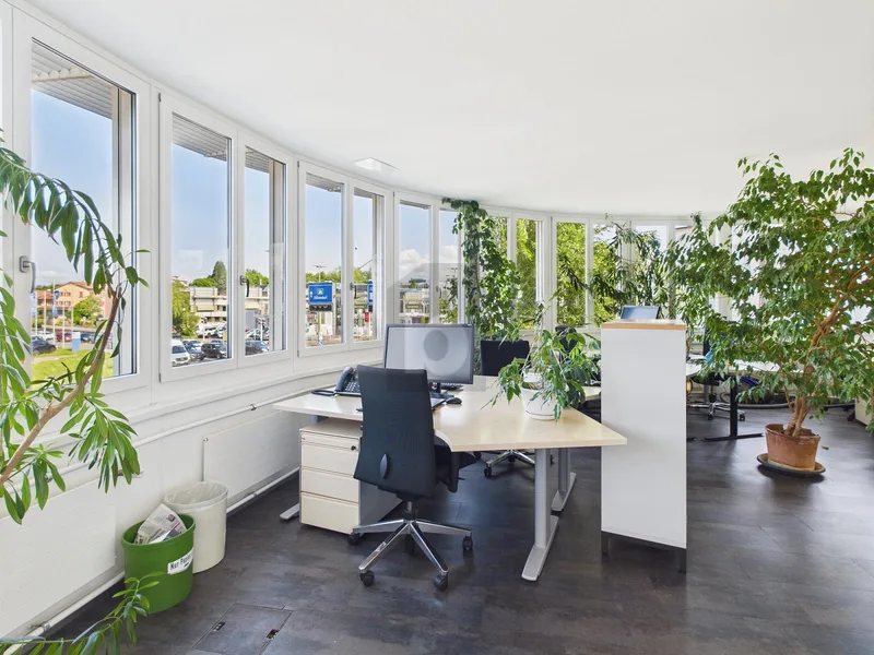 Commercial 1.5 rooms in Wallisellen — 3
