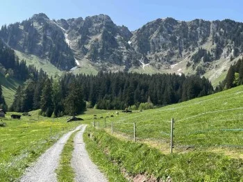 Wohnung 1.5 Zimmer in Vionnaz — photo 12