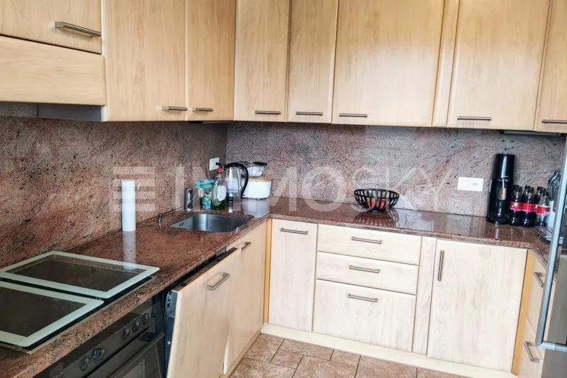 Maison / Villa 4.5 pièces à Agno — 3