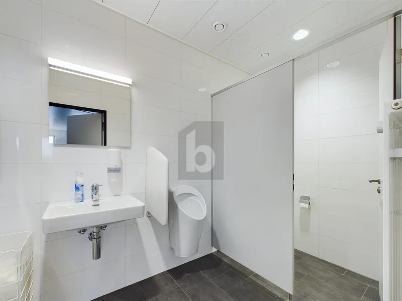 Gewerbe 2 Zimmer in Härkingen — photo 5