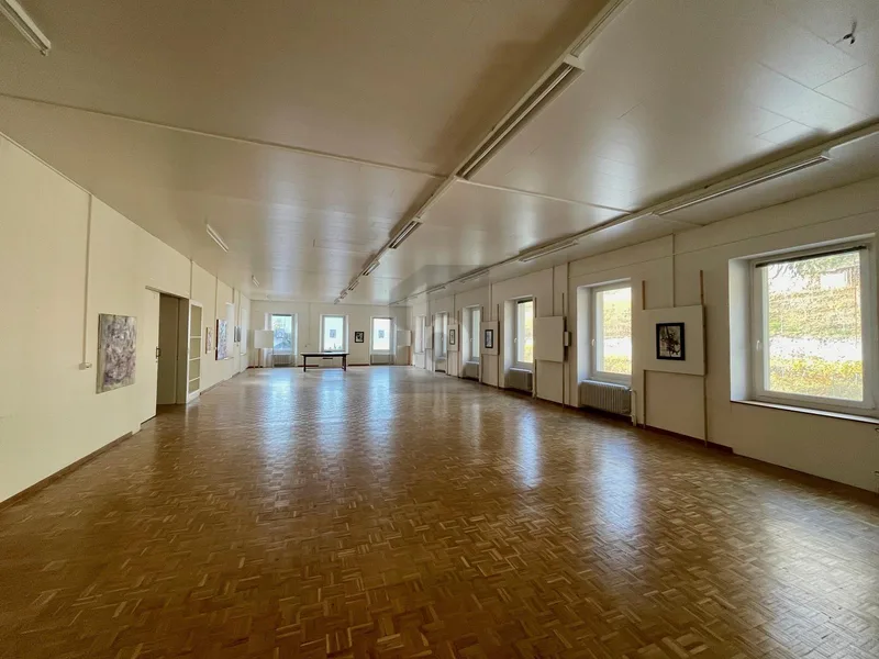 Commercial in Sion