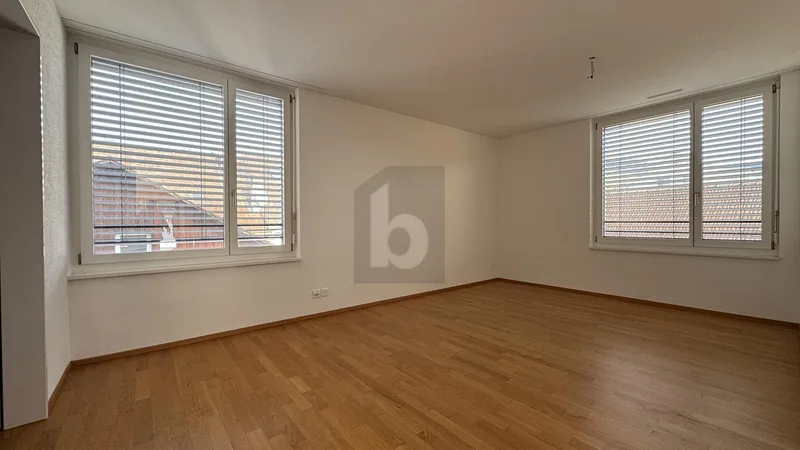 Appartement 4.5 pièces à Hinwil — photo 4