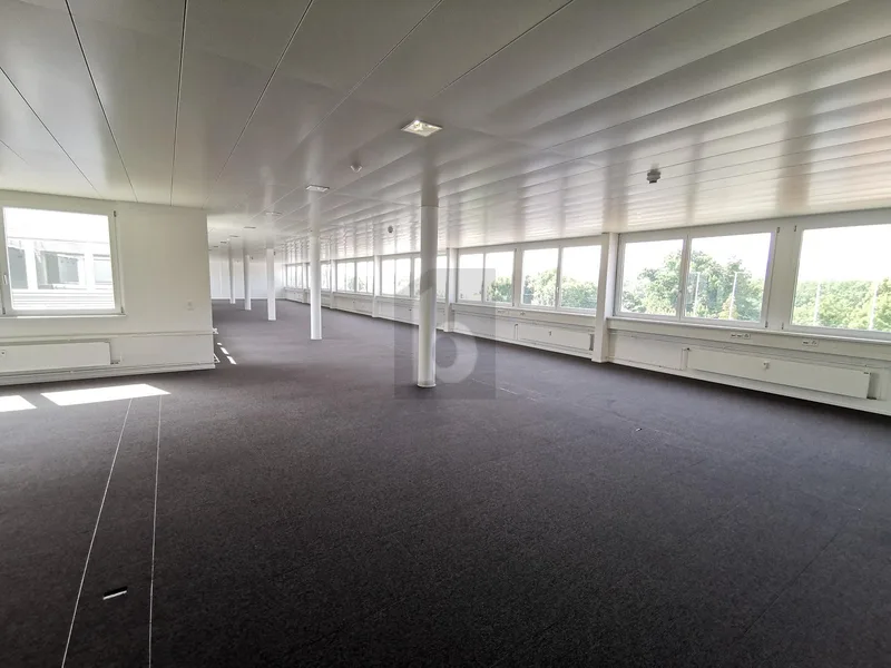 Commercial 1 rooms in Pratteln — 2