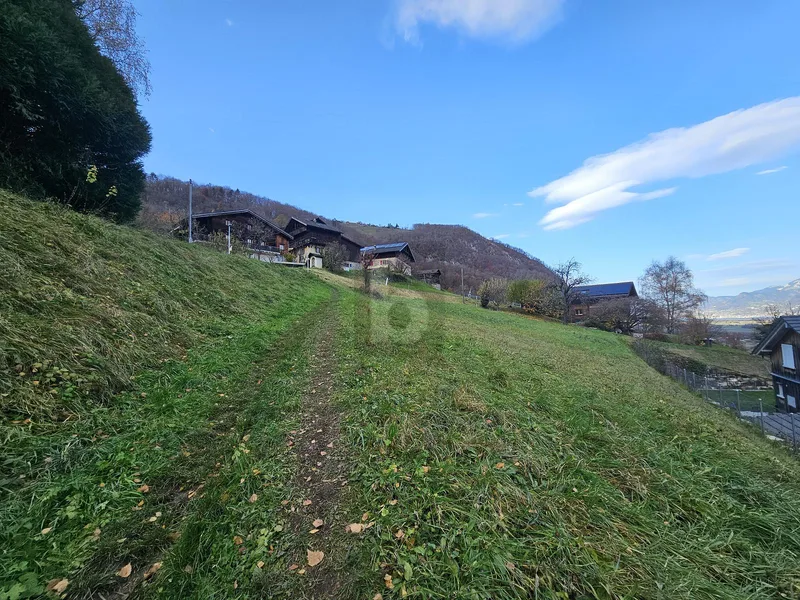 Terrain à Vionnaz — photo 4
