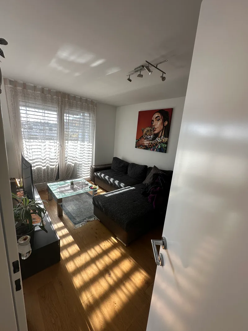 Maison / Villa 6.5 pièces à Oensingen — photo 3