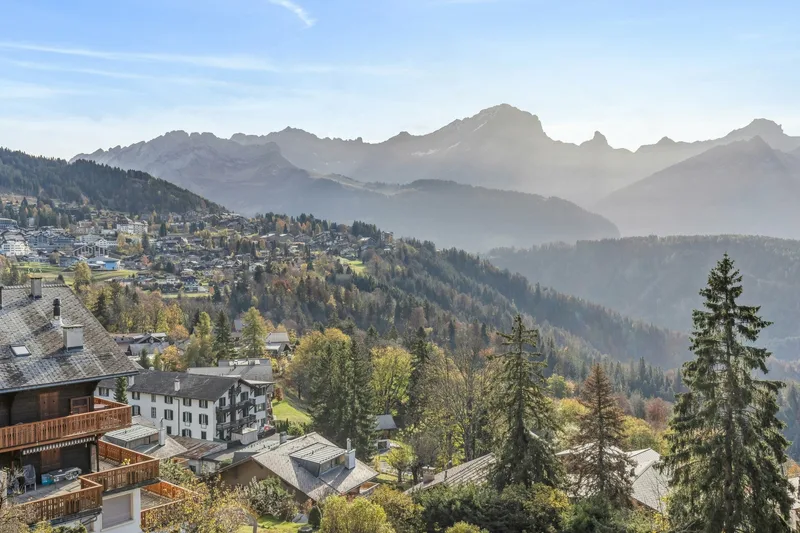 Maison / Villa 9.5 pièces à Chesières — 23