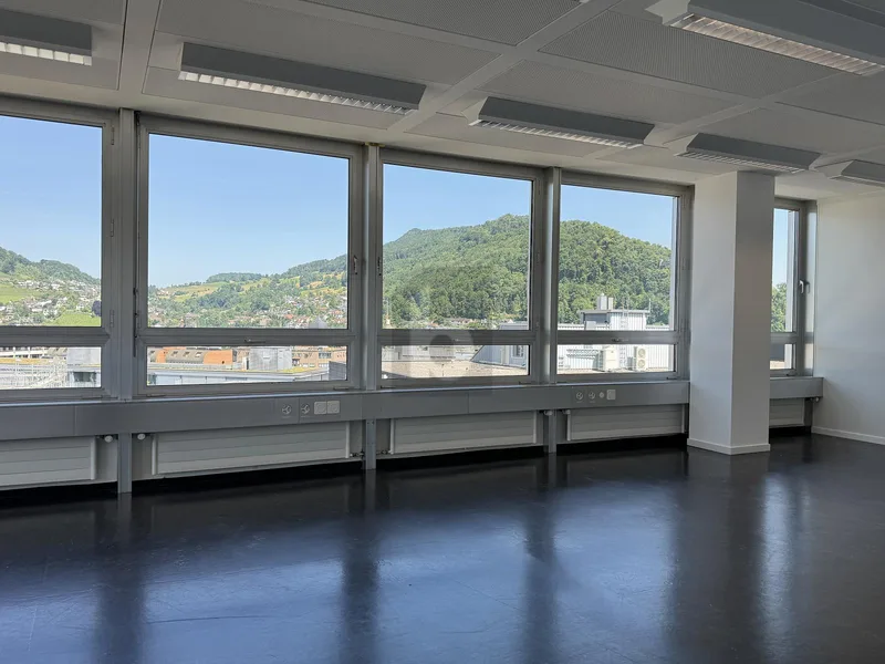 Gewerbe 1 Zimmer in Baden — photo 3