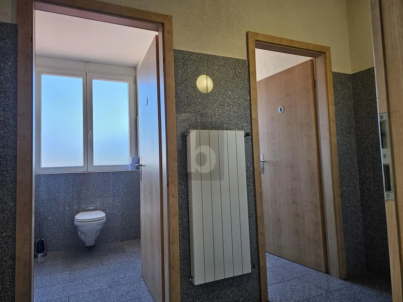 Gewerbe 2 Zimmer in Chamoson — photo 5