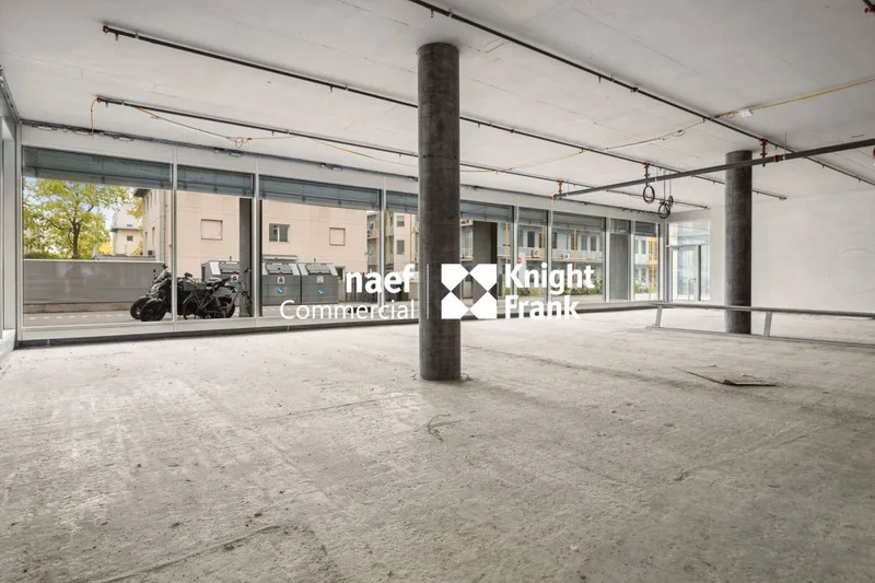 Commercial à Plan-les-Ouates — photo 2