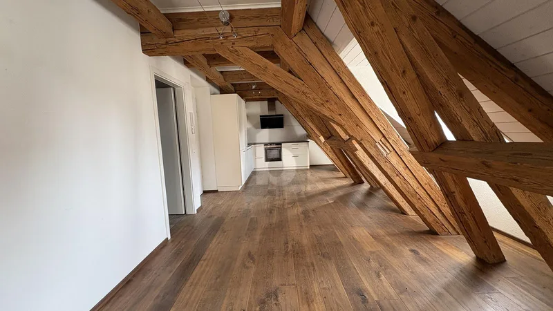 Apartment 1.5 rooms in Altstadt — 4