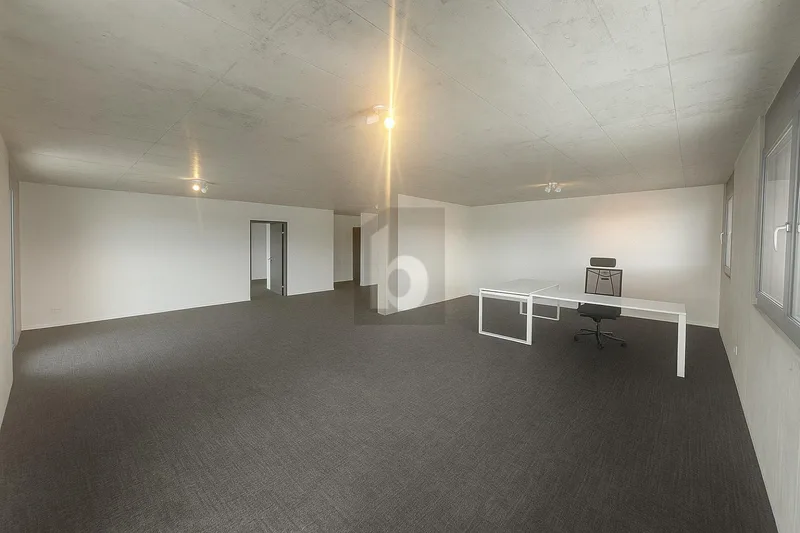 Gewerbe 2 Zimmer in Gruyère — photo 2