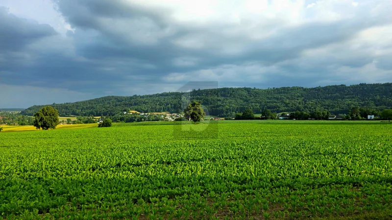 Autre 1 pièces à Schaffhausen — photo 3