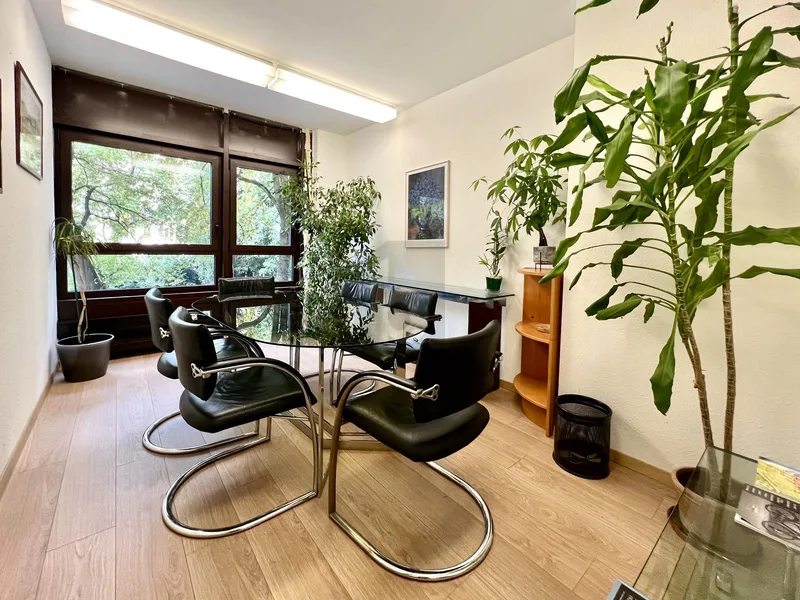 Gewerbe 1 Zimmer in Champel — photo 4