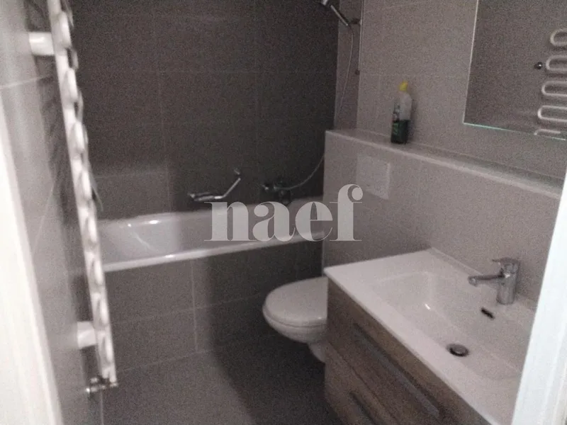 Apartment 4 rooms in Plainpalais — 11