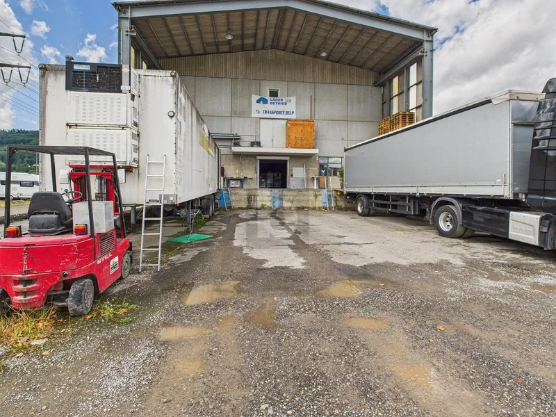 Commercial 1 pièces à Belp — 3