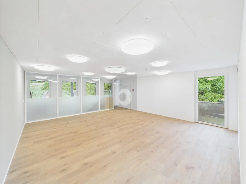 Gewerbe 2 Zimmer in Münchenstein