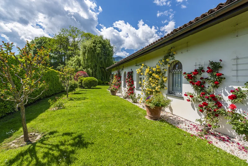 Maison / Villa 8.5 pièces à Origlio — 16