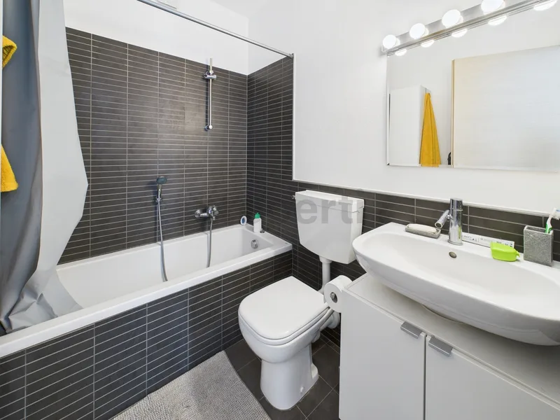 Appartement 2.5 pièces à Paradiso — 4