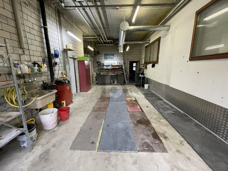 Commercial 1 rooms in Arisdorf — 5