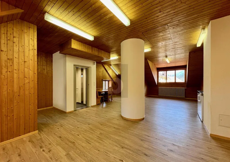 Gewerbe 1 Zimmer in Albula/Alvra — photo 4