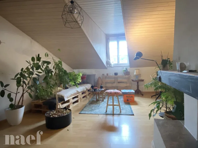 Wohnung 3.5 Zimmer in Fribourg — photo 2