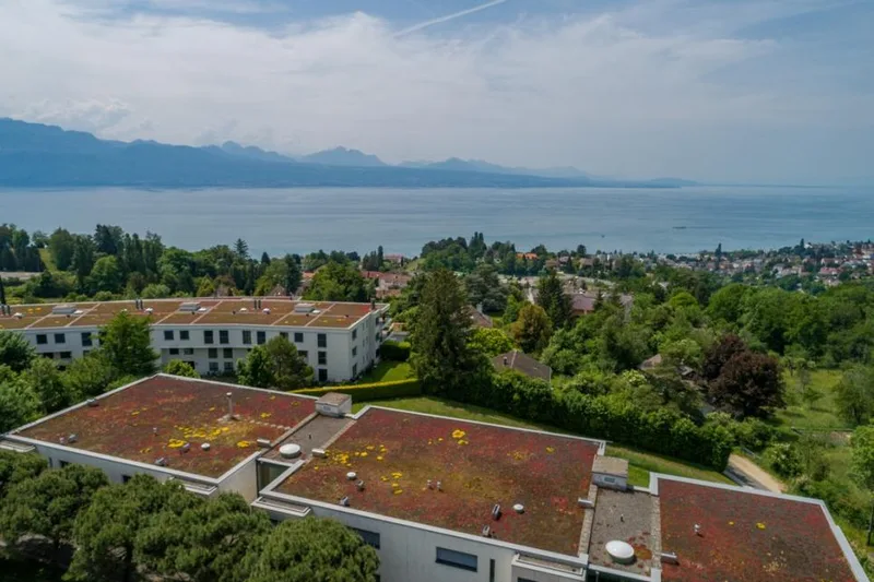 House / Villa in Lutry — 3