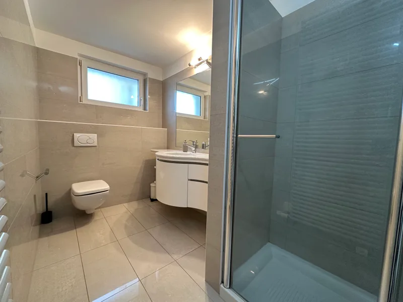 Maison / Villa 7.5 pièces à Lugano — 10