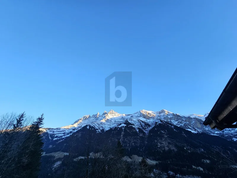 Wohnung 4.5 Zimmer in Champéry