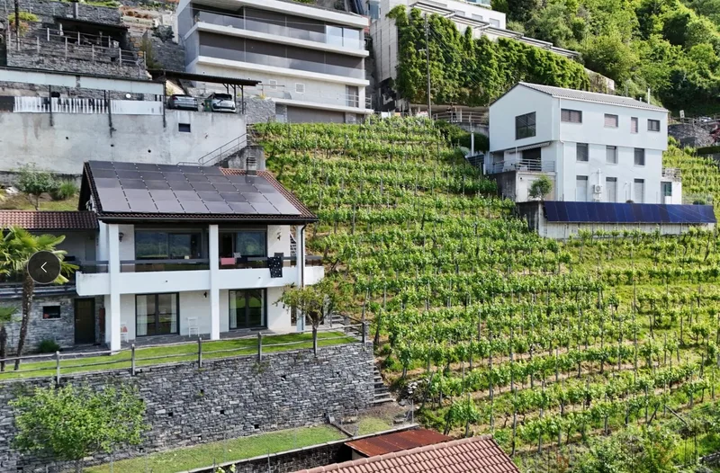 Land in Gordola — photo 3