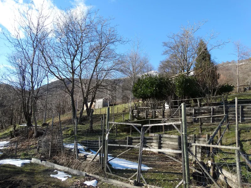Land in Miglieglia — photo 5