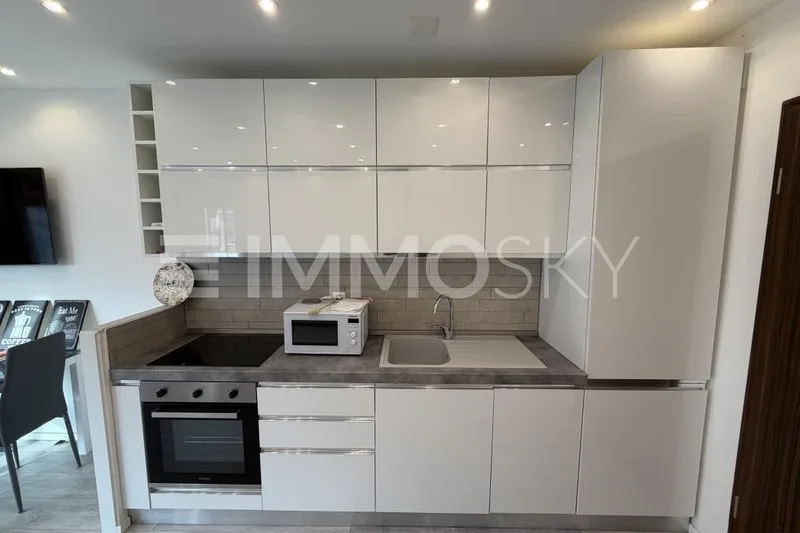 Appartement 1.5 pièces à Agno — 3