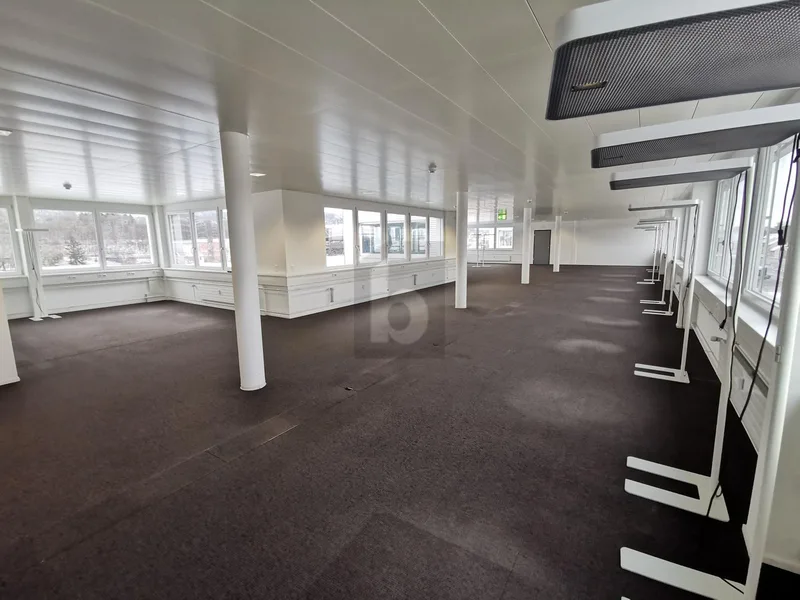 Gewerbe 1 Zimmer in Pratteln — photo 2