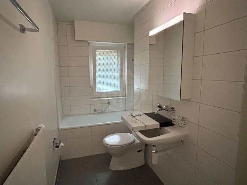 Appartement 4.5 pièces à Lavey-Morcles — photo 6