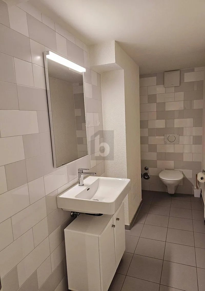 Gewerbe 6 Zimmer in Neuchâtel — photo 5