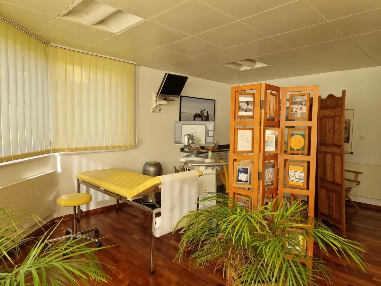 Maison / Villa 8 pièces à Aigle — 16