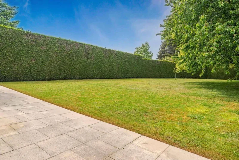 Maison / Villa 6.5 pièces à Blonay - Saint-Légier — 13