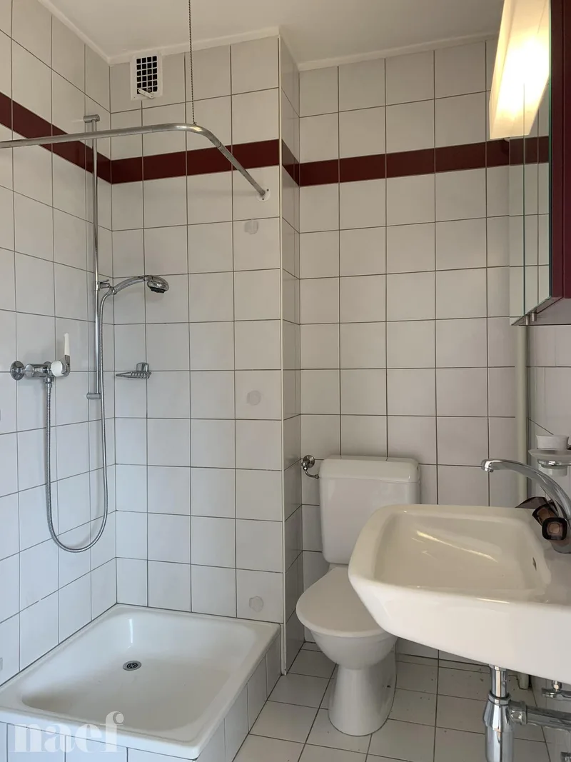 Wohnung 1 Zimmer in La Chaux-de-Fonds — photo 5