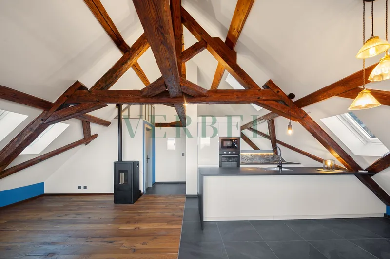 Wohnung 4.5 Zimmer in Saint-Gingolph — photo 3