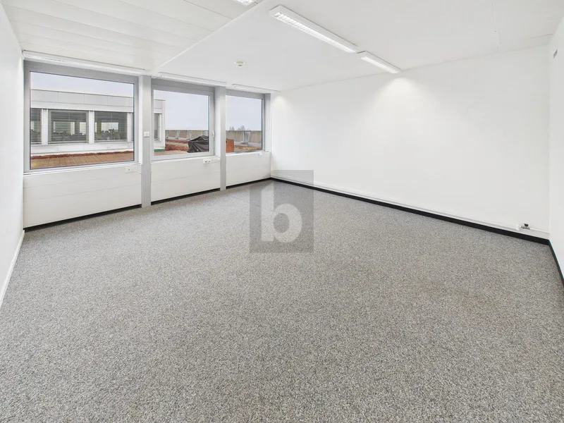 Commercial 1 rooms in zentral