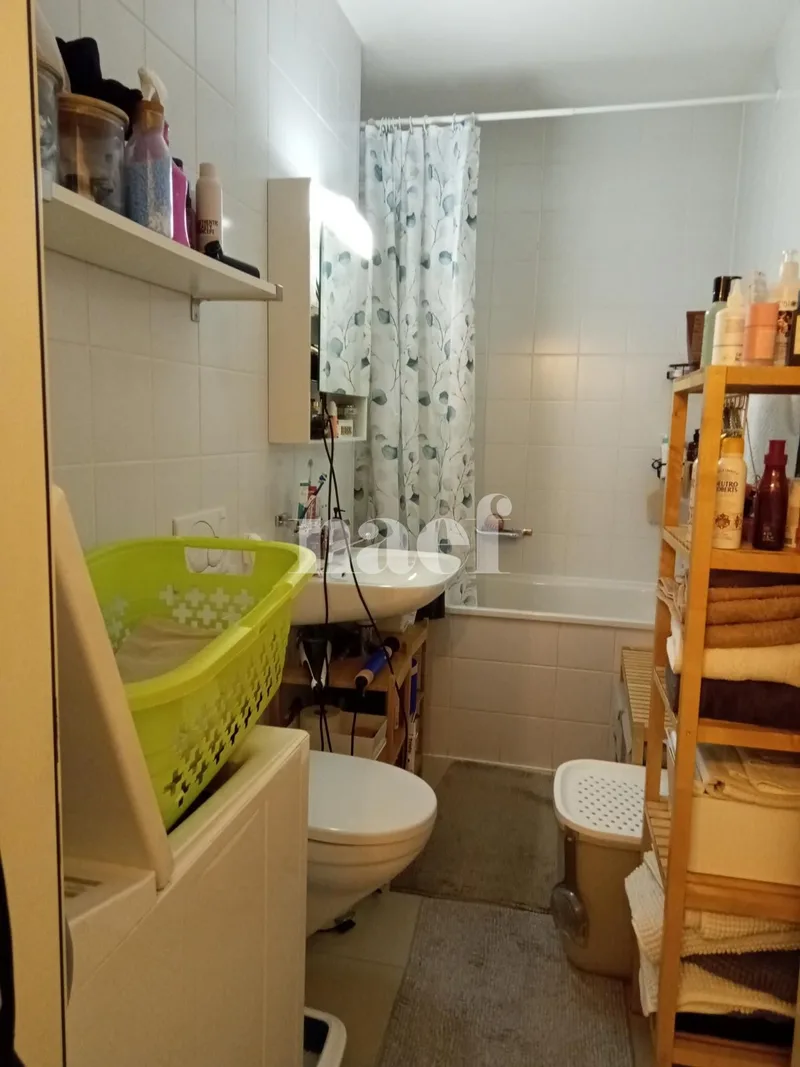 Apartment 3 rooms in Plan-les-Ouates — photo 6
