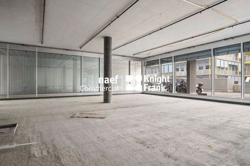 Commercial à Plan-les-Ouates — photo 3