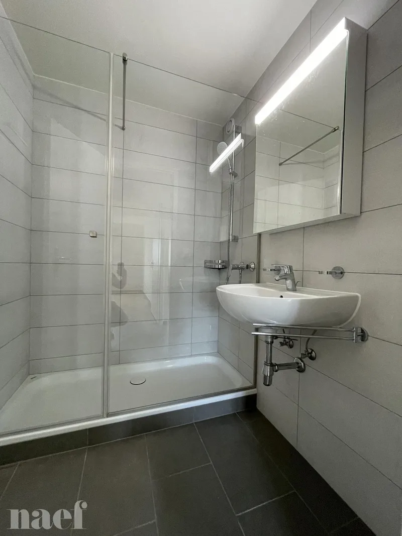 Wohnung 3 Zimmer in La Chaux-de-Fonds — 5